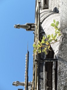 Belfort, Gent