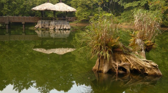Přírodní park Alishan, Taiwan