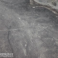 Nazca Lines - KOLIBŘÍK