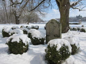 psí hřbitov, zámek Riegersburg