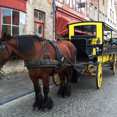 Bruggy, Belgie