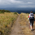 Camino de Santiago: Duchovní pouť španělskou krajino