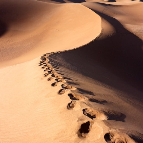 Human footprints on dunes of Erg Chigaga desert