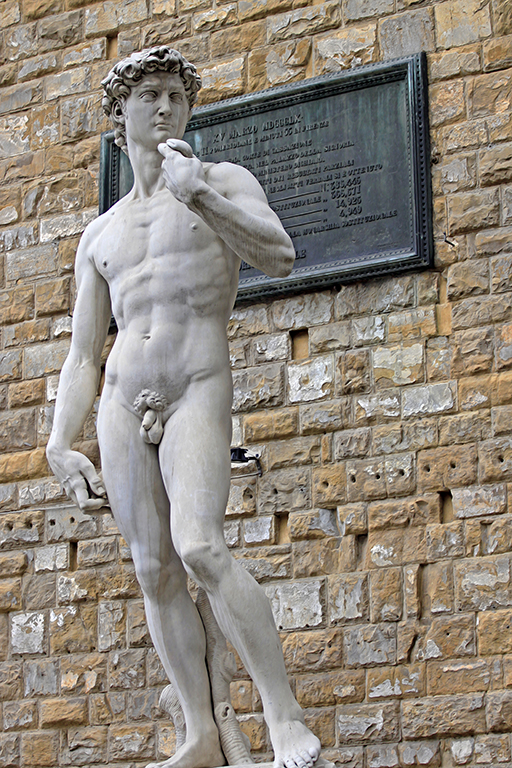 Socha Davida od Michelangela na náměstí Piazza della Signoria, Florencie, Itálie