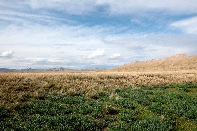 Většina Mongolska je nehostinná divočina