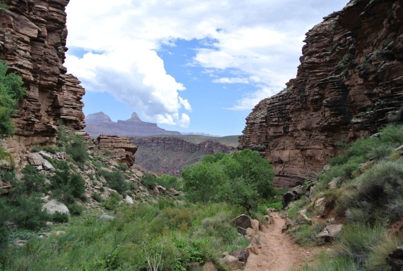 Grand canyon, Cesta, Colorado