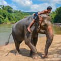 Wangpo Elephant Camp - sloní farma nedaleko Kanchanaburi, Thajsko