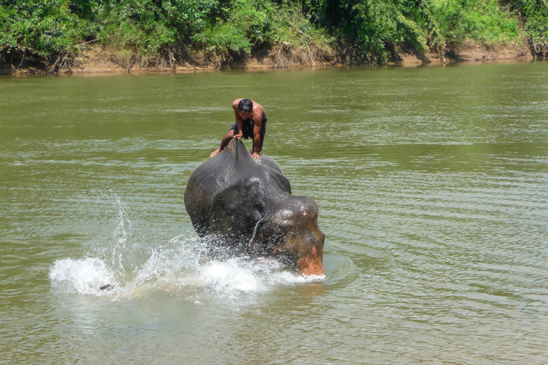 Vodní ródeo se slony - předem prohraná bitva! WangPo Elephant Camp, Kanchanaburi, Thajsko
