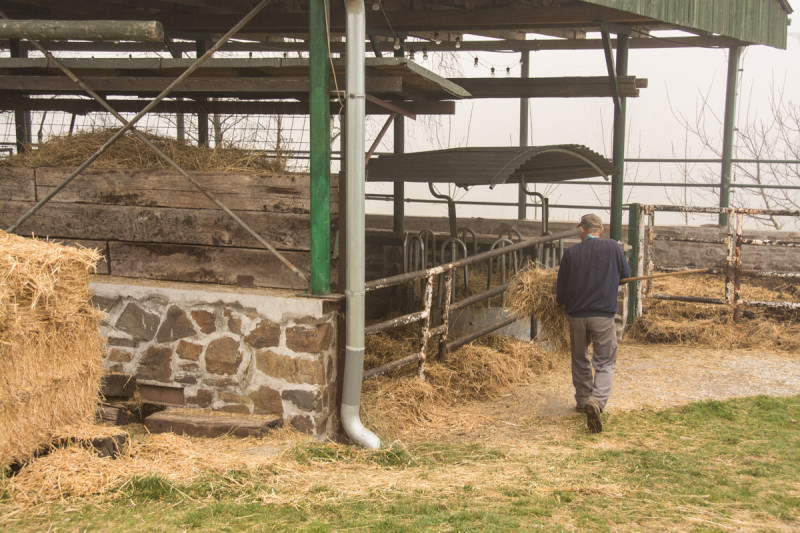 Vítězslav Dostál při své práci na rodinné bio farmě, kterou obnovil, aby splnil svůj slib, který dal svému dědečkovi na hřbitově před svým odjezdem na cestu kolem světa.