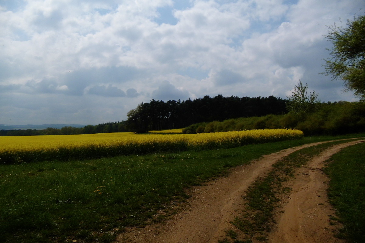 Svatojakubská cesta