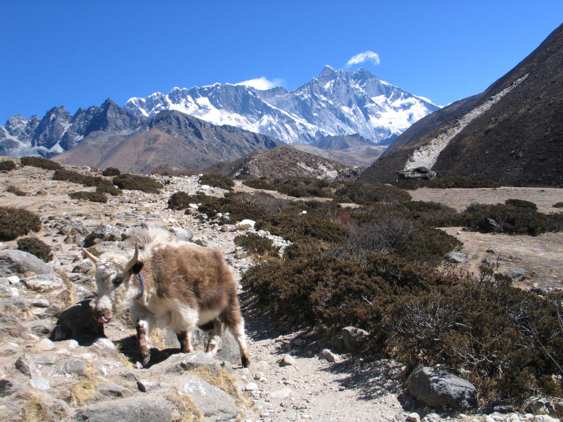 Na sever od Namche Bazaar.