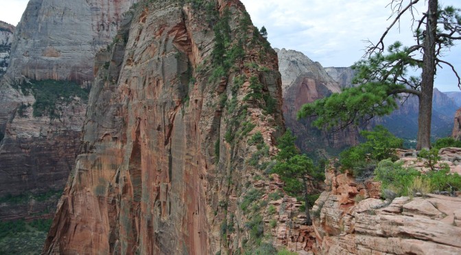 Národní park Zion, Utah, USA