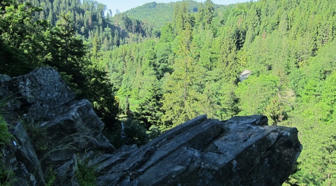 Údolím Bystřice – jednodenní výlet