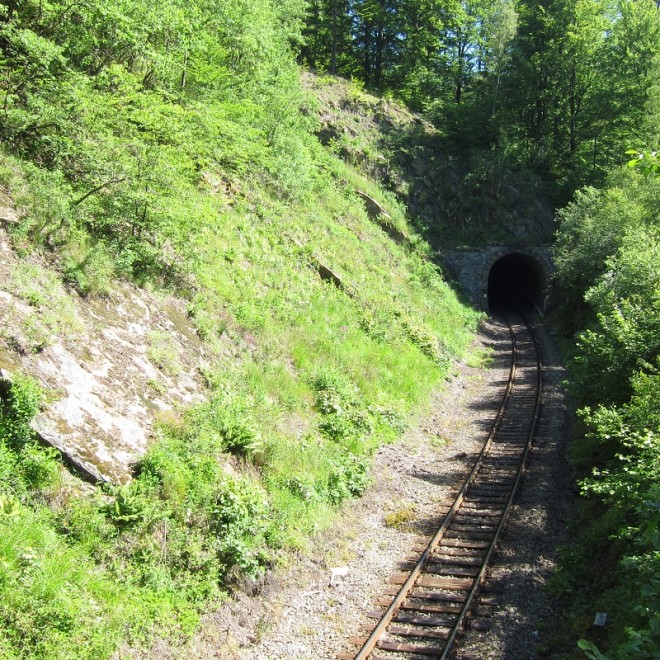 Železniční tunel u Jívové