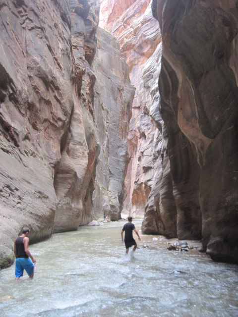 Zion, USA, potok