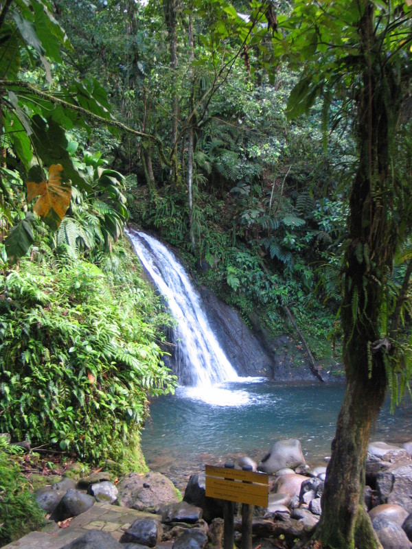 NP Guadeloupe.