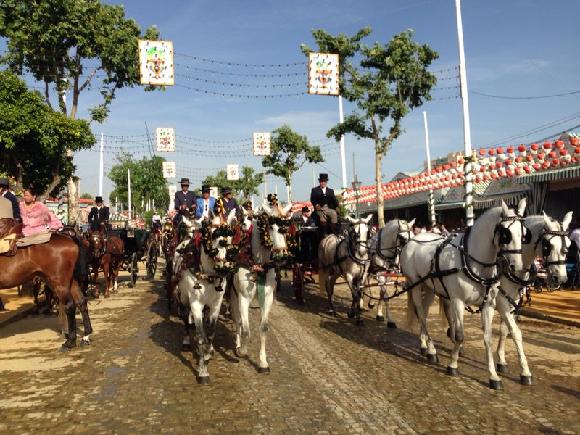 Kočárový průvod, kočáry tažené bílými koňmi na začátku každého dne Feria de Abril.