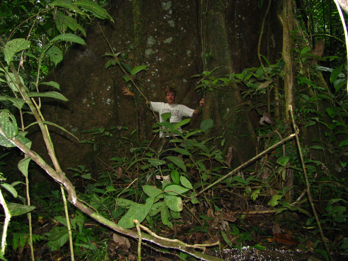 Amazonia 2014, Piksla Břeclav