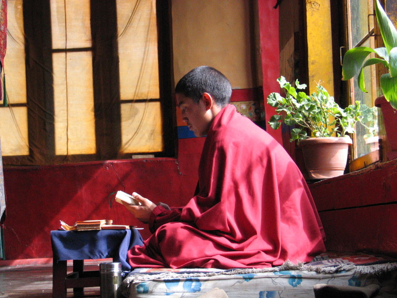 Mladá mnich v klášteře Thikse.