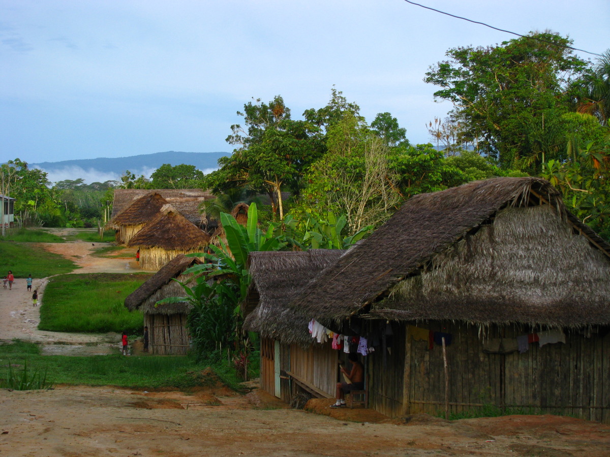 Amazonia 2014, Piksla Břeclav