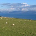 Krajina v okolí Slea Hrad, výhled na protější poloostrov Ring of Kerry.