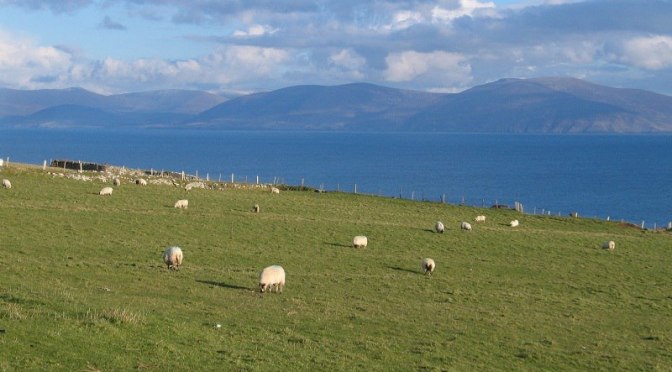 Krajina v okolí Slea Hrad, výhled na protější poloostrov Ring of Kerry.