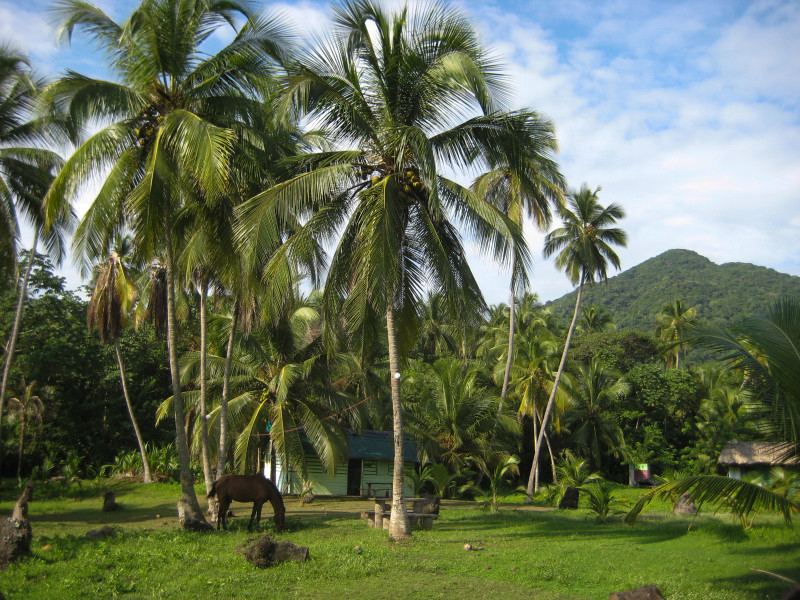 Tairona National Park