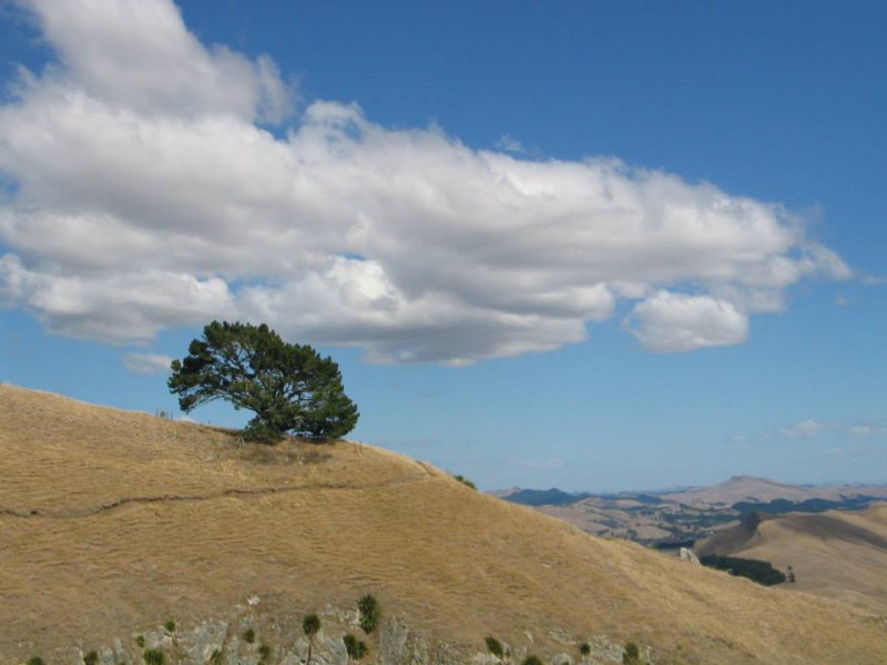 Krajina na Te Mata