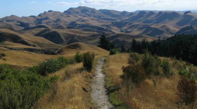 Te Mata, obr mezi námi – Nový Zéland