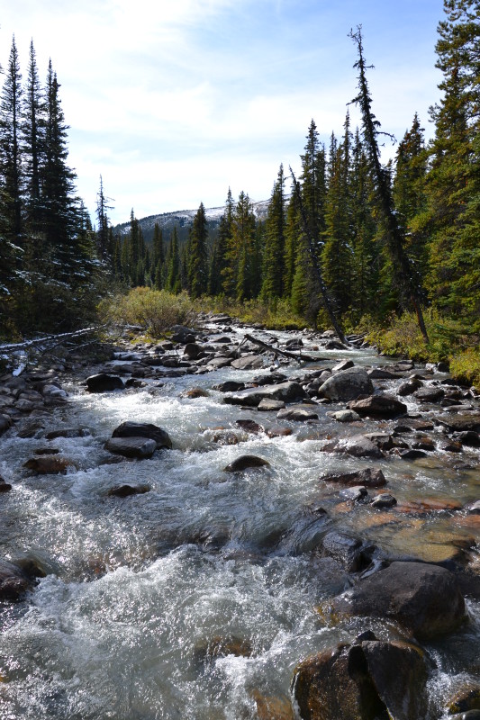 Krásná řeka v národním parku Jasper.