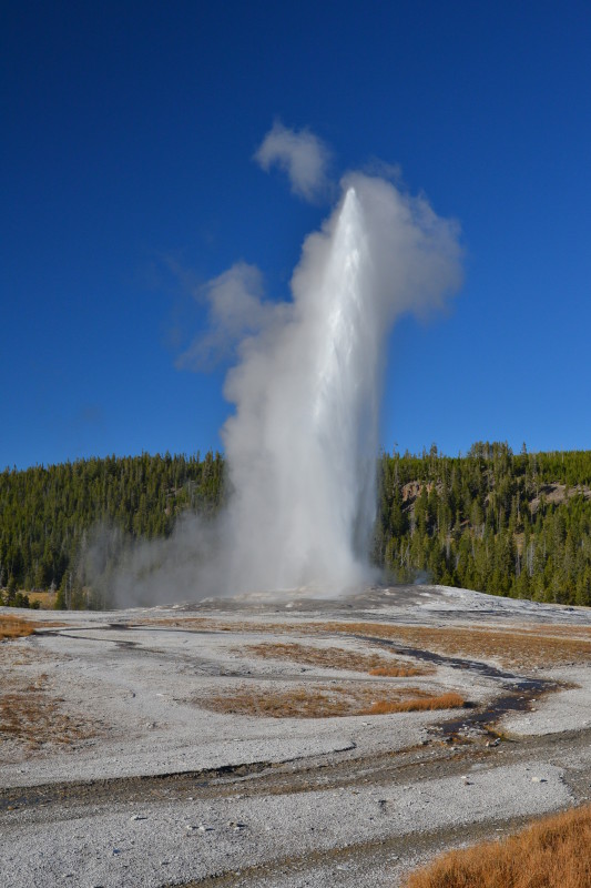 Nejznámnější gejzír v Yellowstonském národním parku.