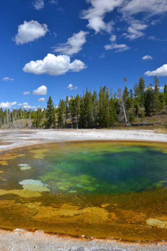 Bazén v Yellowstonském národním parku.