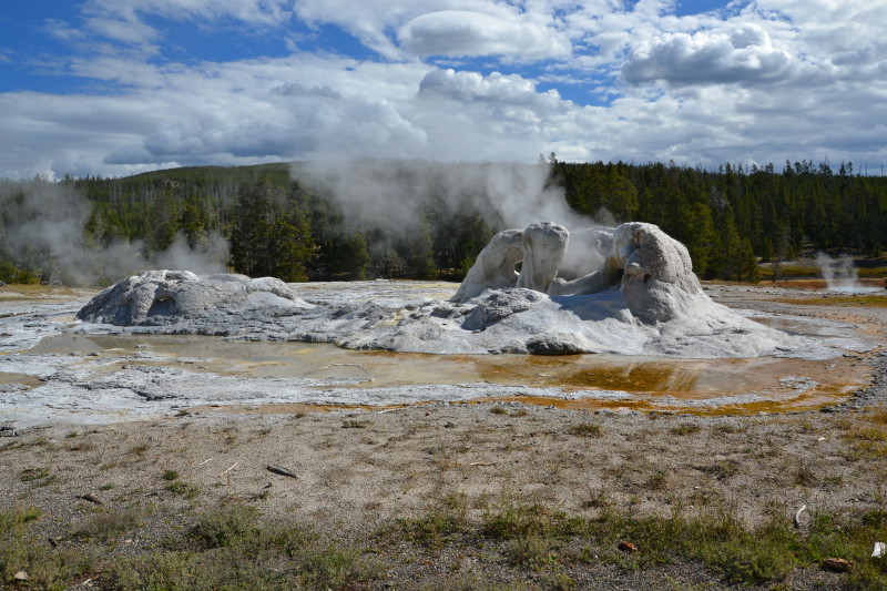 Grotto Geyser, národní park Yellowstone, USA.