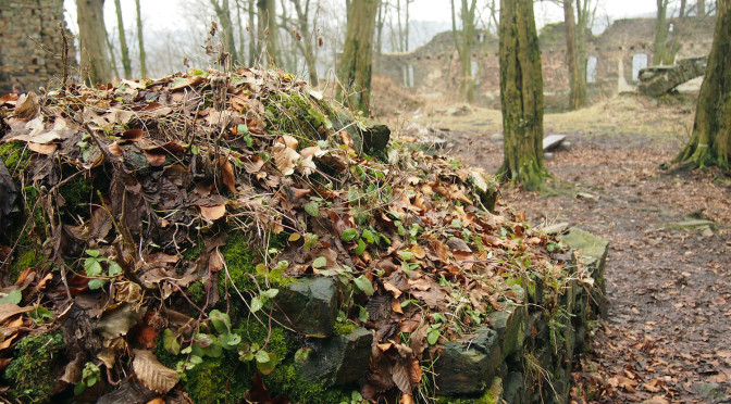 Vikštejn a Jánské Koupele – romantika ruin uprostřed lesů