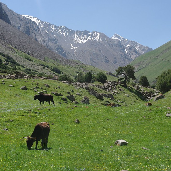 Alajský hřeben, Kyrgyzstán