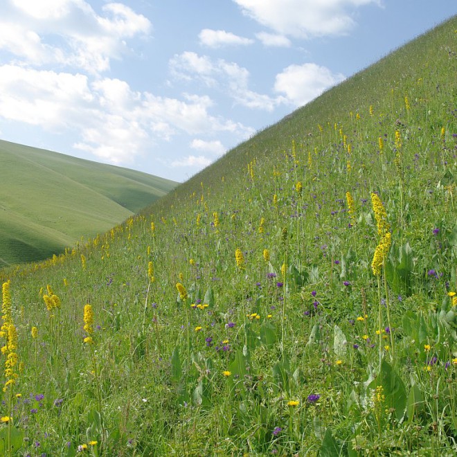 Kyrgyzstán, Kyrgyzský hřeben, hory