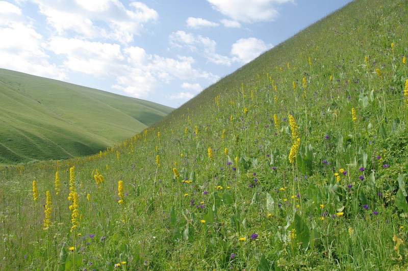 Kyrgyzstán, Kyrgyzský hřeben, hory