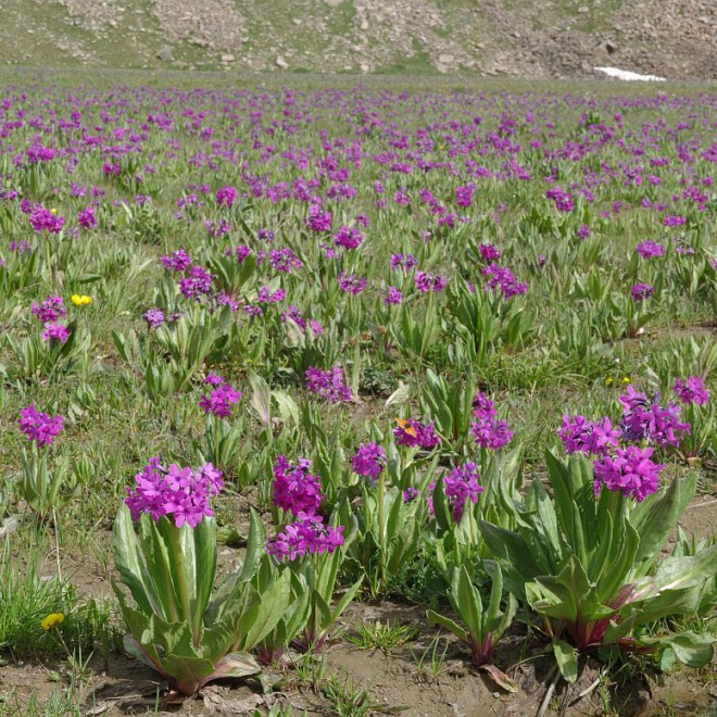 Kyrgyzstán, Kyrgyzský hřeben, hory