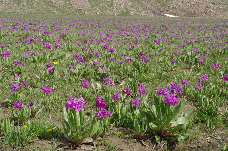 Kyrgyzstán, Kyrgyzský hřeben, hory