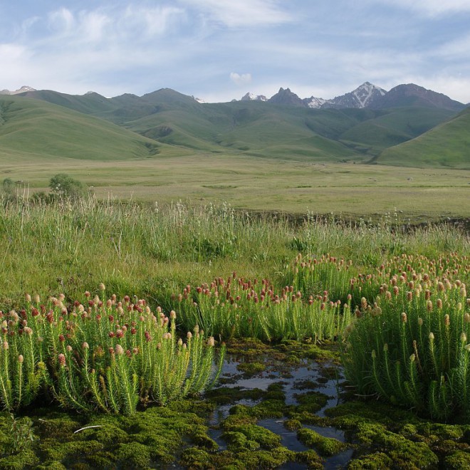 Kyrgyzstán, Kyrgyzský hřeben, hory