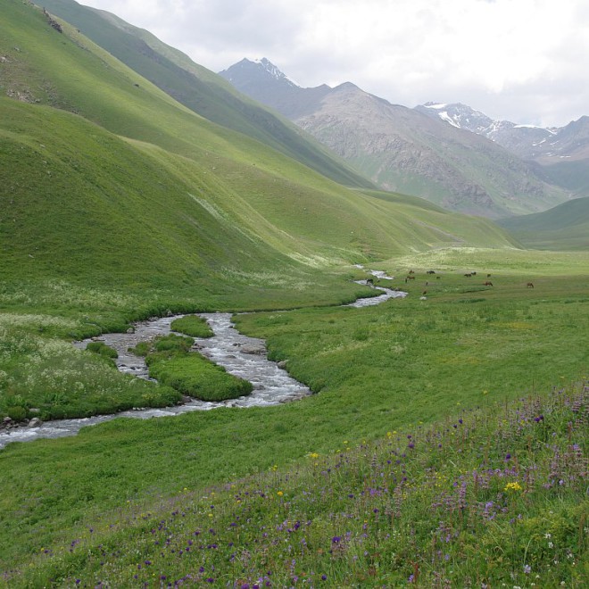 Kyrgyzstán, Kyrgyzský hřeben, hory