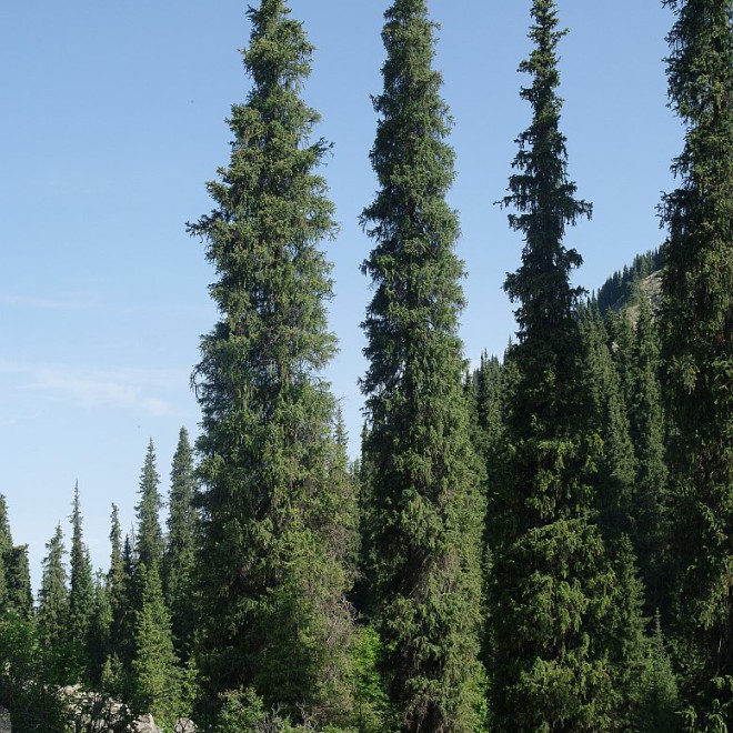 Severní svahy Těrskej Alatau, Kyrgyzstán