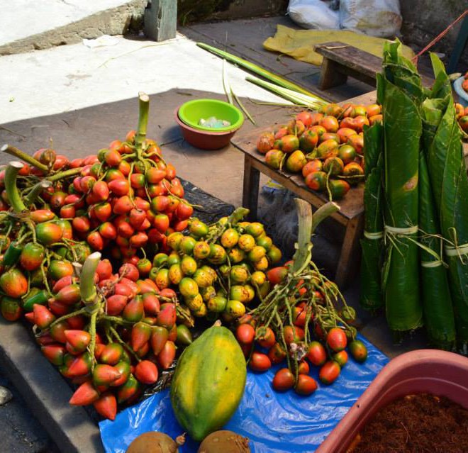trh v Iquitos