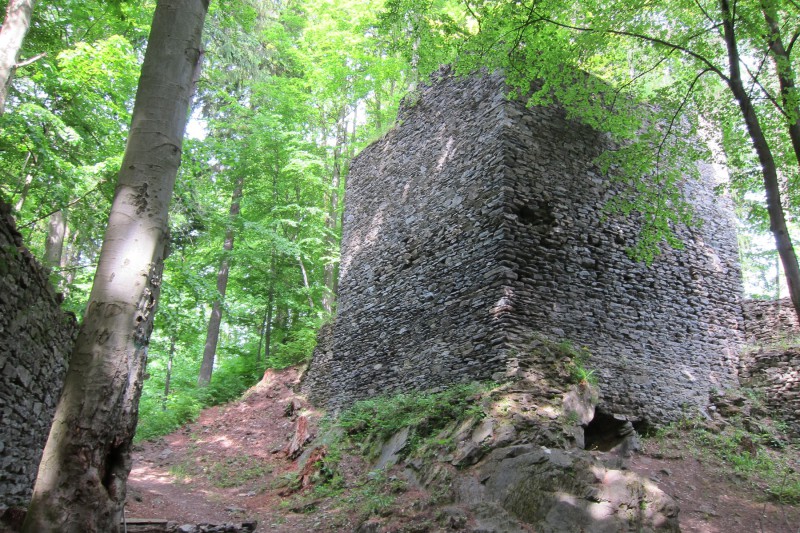 Nový hrad - jedna ze zachovaných věží