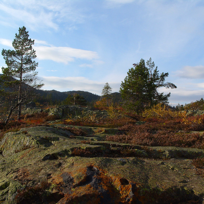 Norský podzim