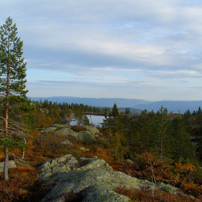 Buskerud