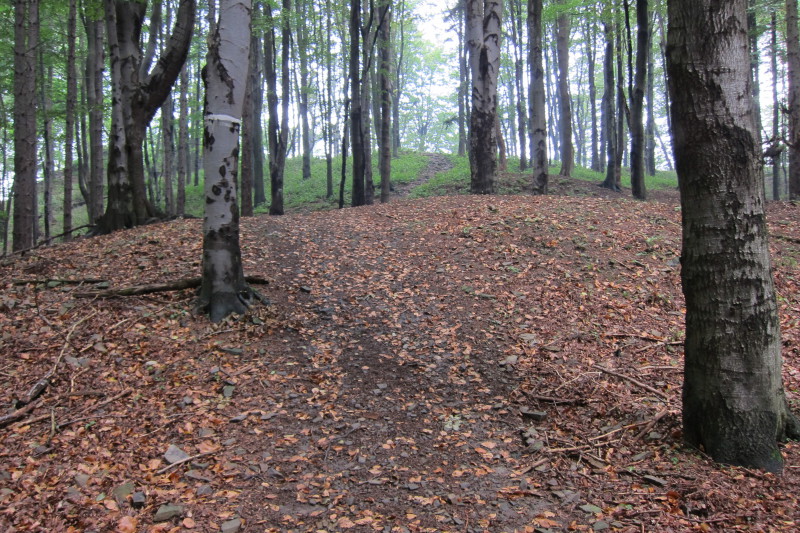 Cestou na Obřany, Hostýnské vrchy