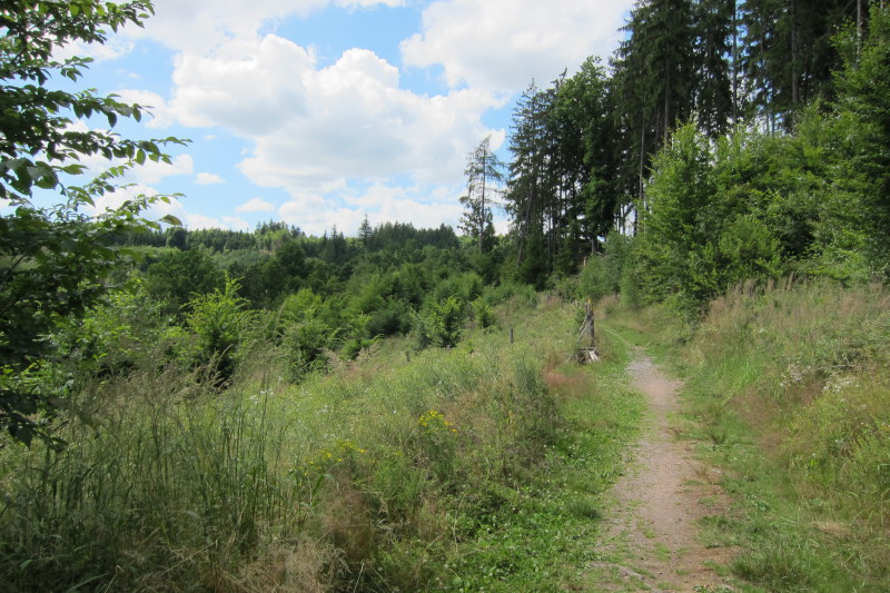 Lesy Podhůra - turistické trasy
