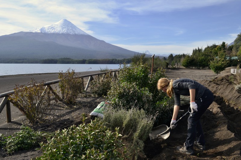 Dobrovoľnická práca v tieni vulkánu Osorno