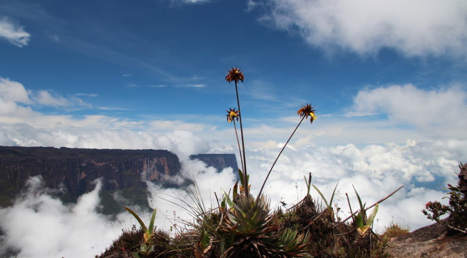 Hledání ztracených dinosaurů ve ztraceném světě – Roraima, Venezuela